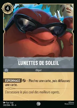 Lunettes de soleil