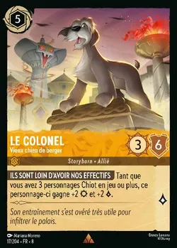 Le Colonel - Vieux chien de berger
